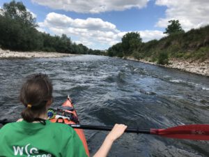 Auf dem Alten Neckar